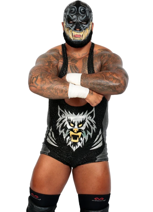 アルファ・ウルフ