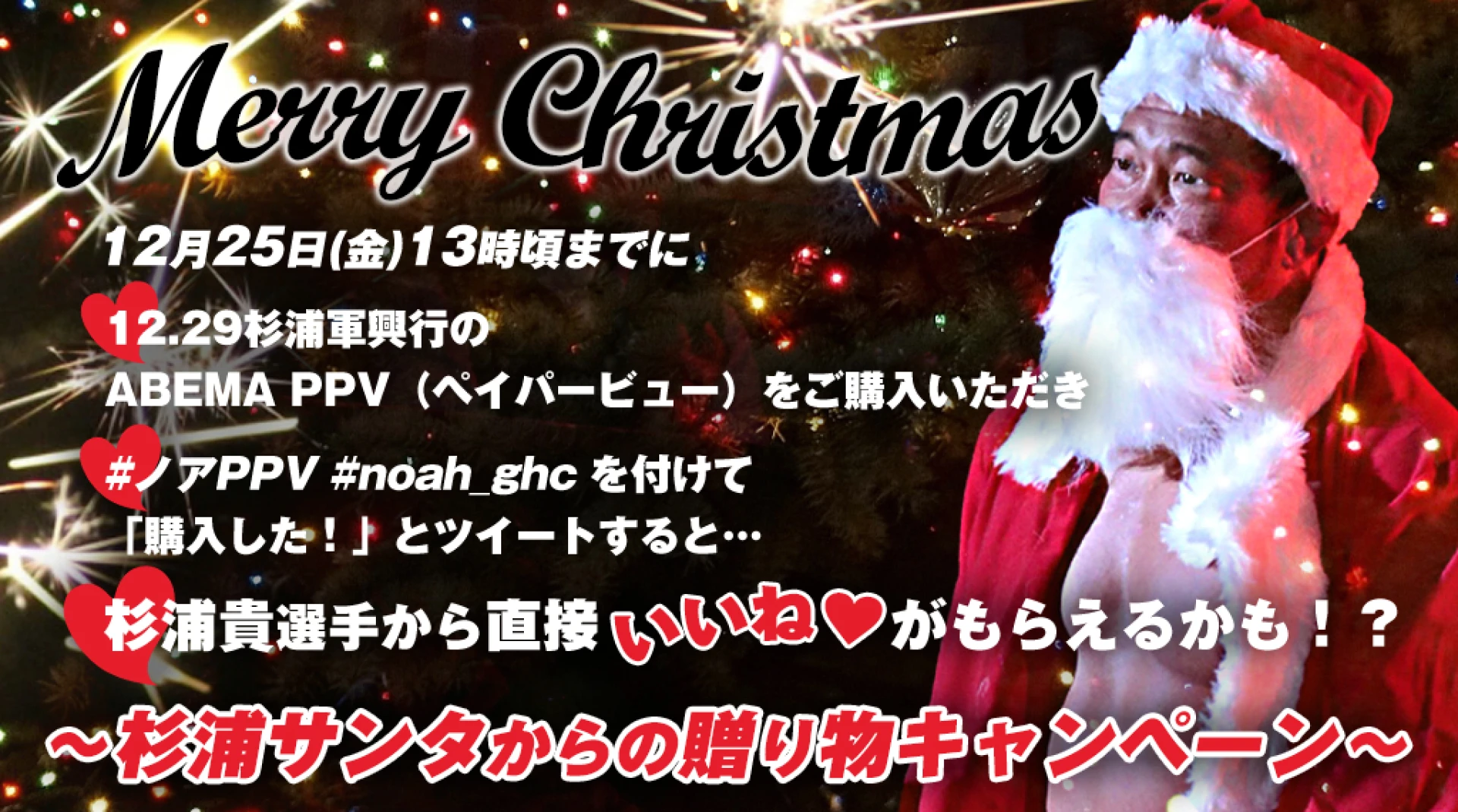 【Merry Christmas！】杉浦サンタからの贈り物キャンペーン！【12月25日(金)13:00頃まで】