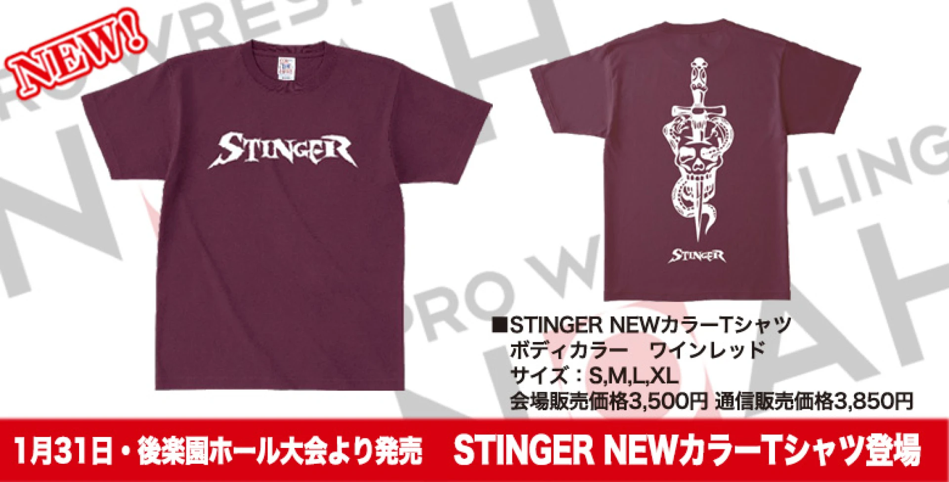 【1月31日発売開始!!】STINGER NEWカラーTシャツ登場