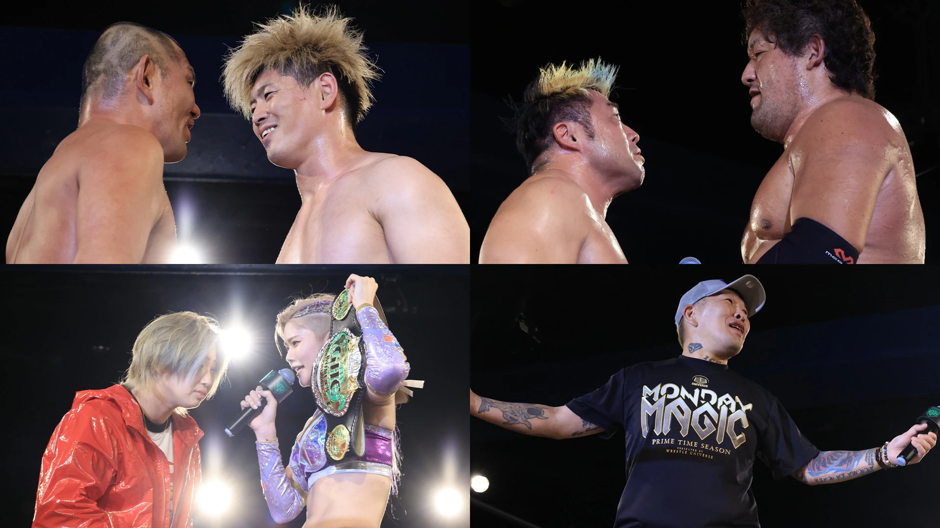 未開封 モグラハウス パンクラス 鈴木みのる 丸藤正道 プロレス