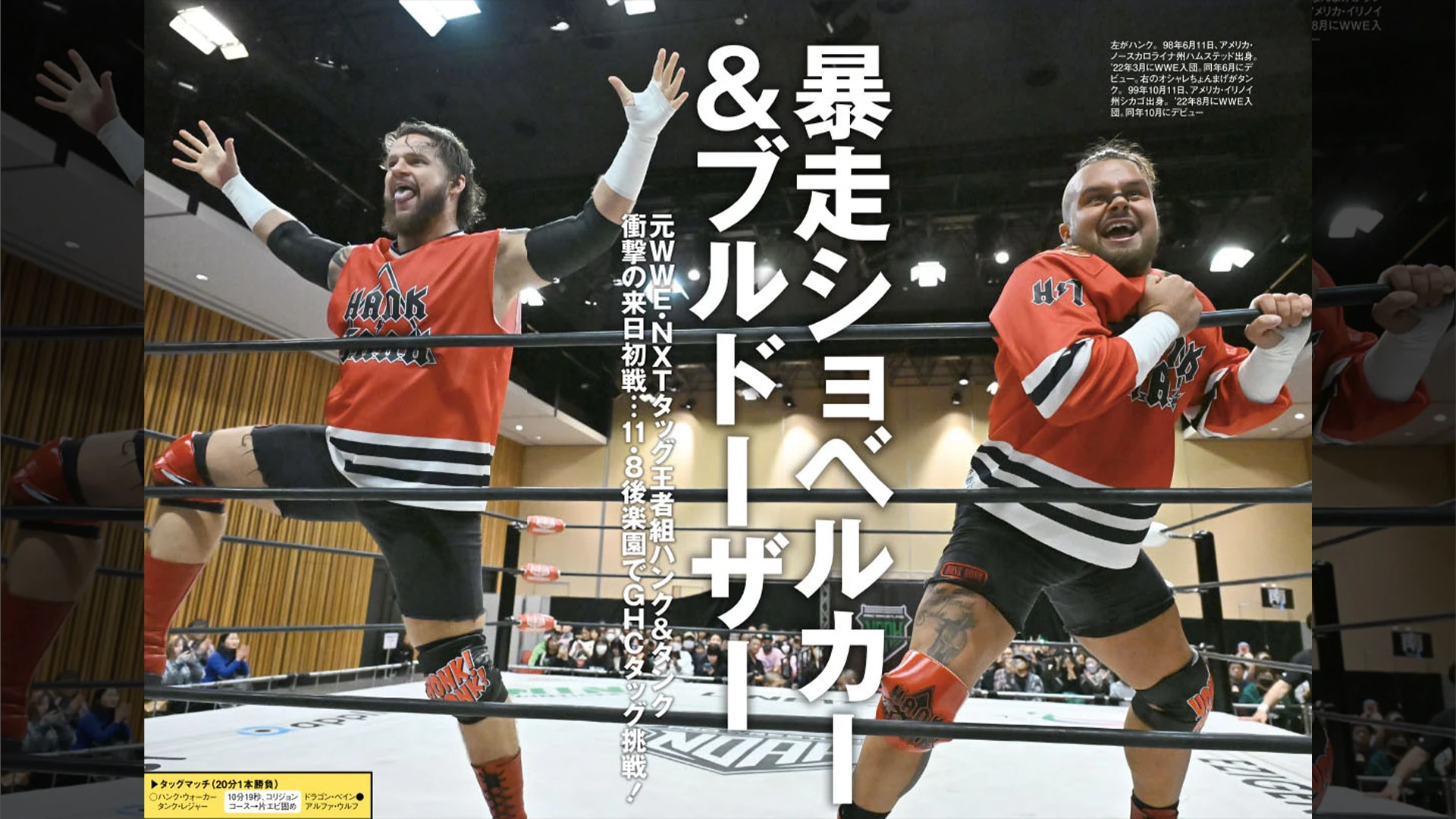 10月29日（水）発売の「週刊プロレス」11月12日号（No.2382）