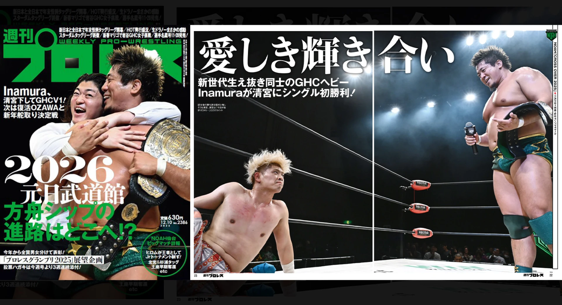11月26日（水）発売の「週刊プロレス」12月10日号（No.２３８６）