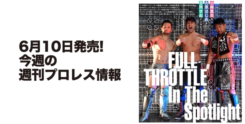 ６月10日（水）発売の「週刊プロレス」６月24日号