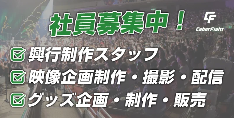 株式会社CyberFight 採用情報