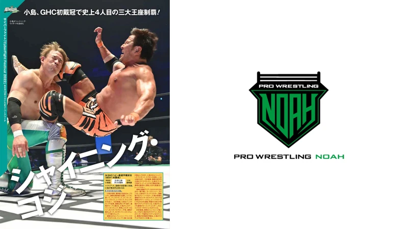 ６月15日（水）発売の「週刊プロレス」６月29日号