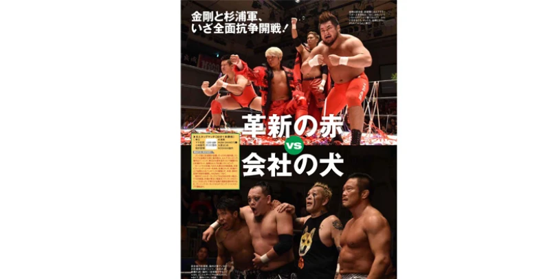 ７月17日（水）発売の「週刊プロレス」７月31日号