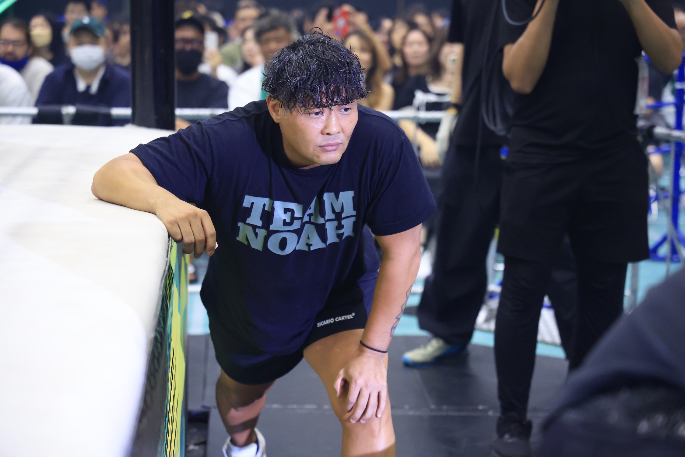 プロ格ヒーローズ PRO-WRESTLING NOAH リング プロ格ヒーローズ PRO-WRESTLING NOAH リング 2025年最新】プロ