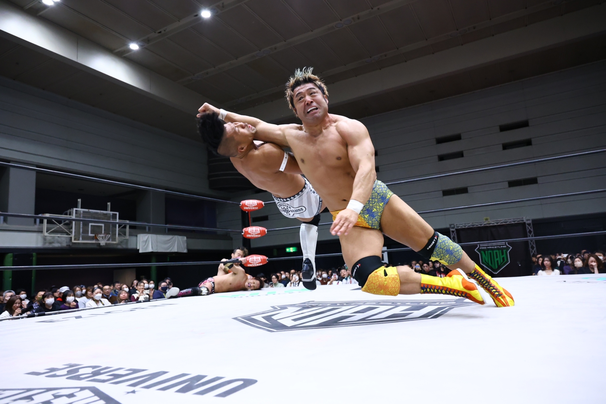 1/25大阪大会 試合後コメント 衝撃ラストライドで清宮粉砕…オモス圧巻