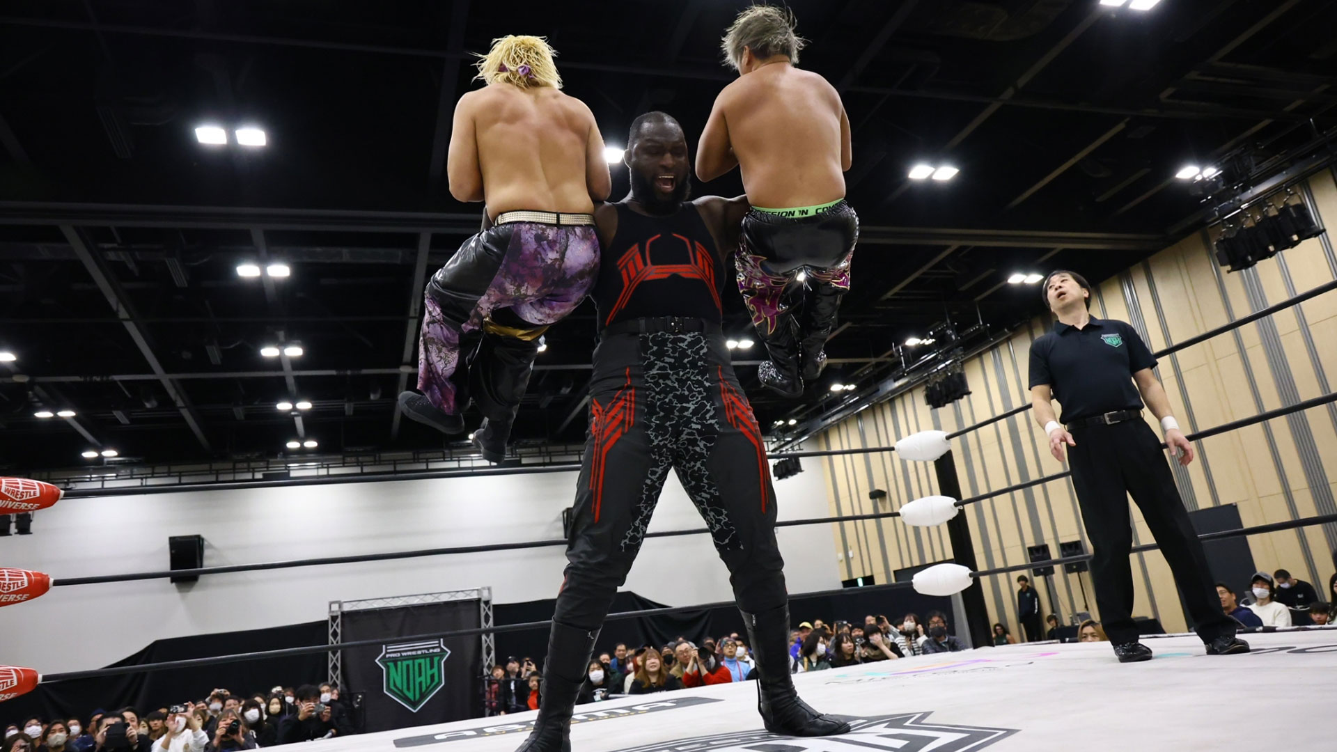 Amazon.co.jp: 3DOソフト ロイヤルプロレスリング実況ライブ