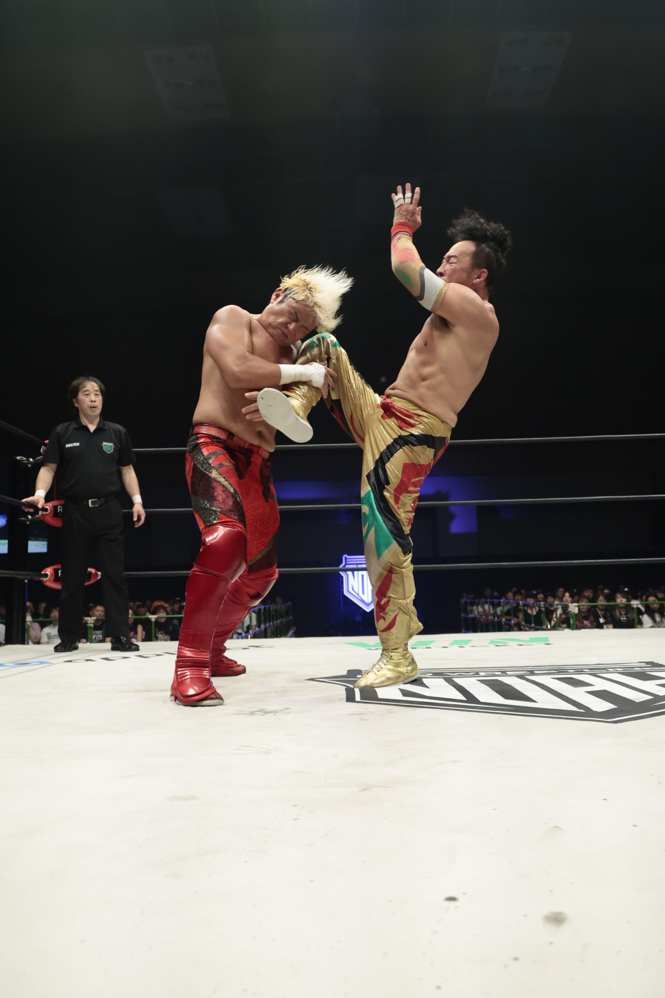 2026年07月18日（土）HaRENO Presents SUMMER EPIC 2026 | プロレス